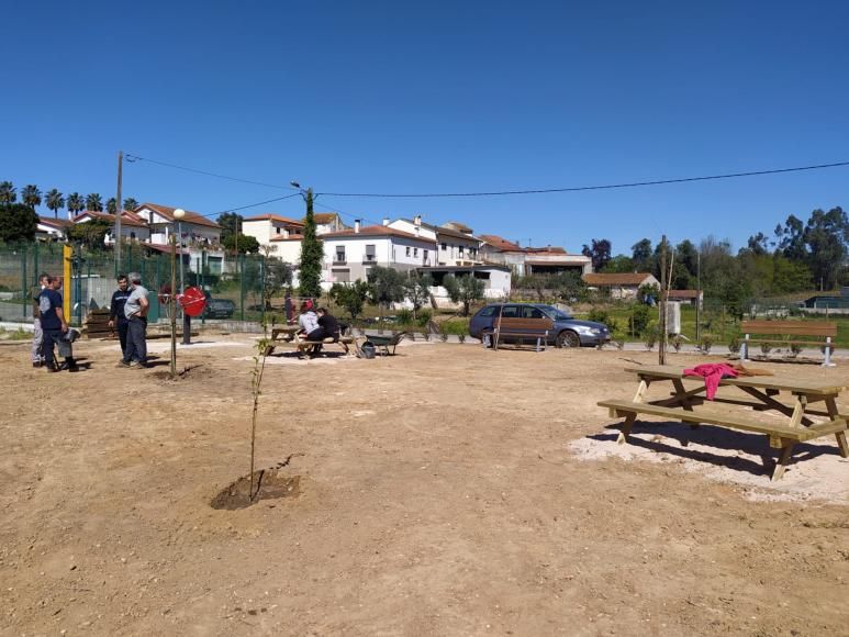 Dia Mundial da Árvore celebrado em simbiose com a comunidade