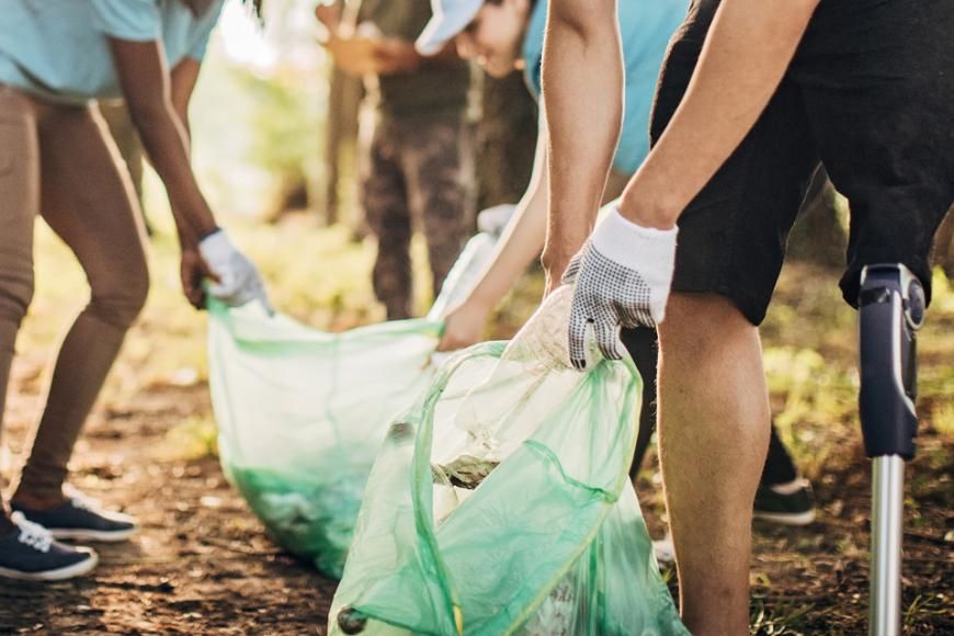 Voluntariado Jovem para a Natureza e Florestas
