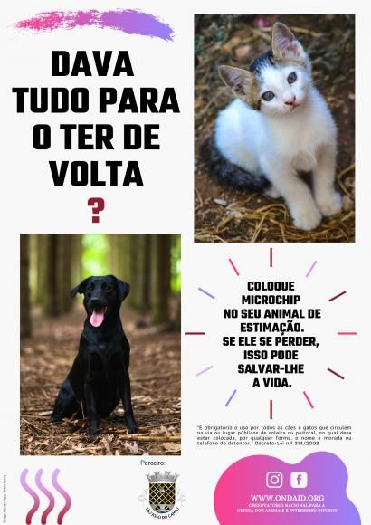 "Dava tudo para o ter de volta?"