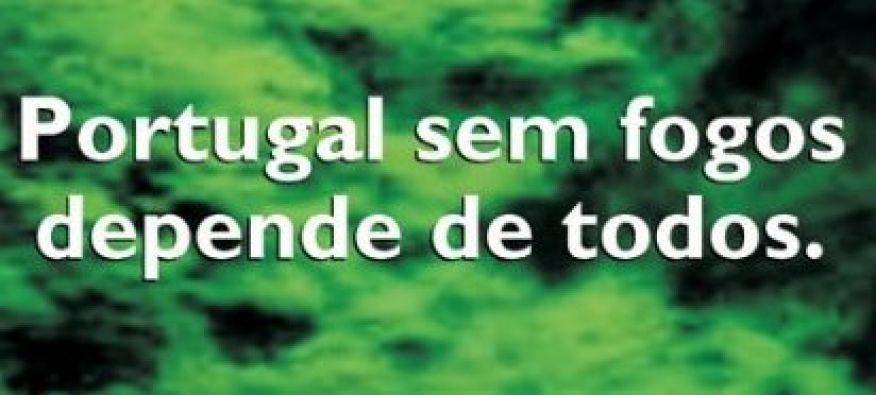PERÍODO CRÍTICO - DEFESA DA FLORESTA CONTRA INCÊNDIOS