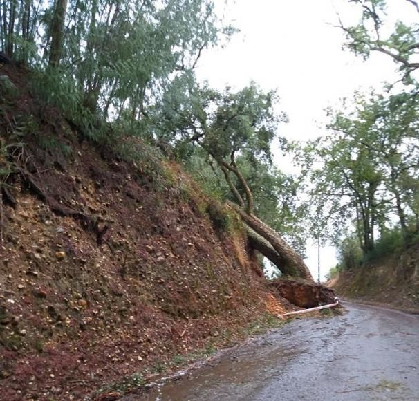 TEMPESTADE LESLIE - INFORMAÇÃO AOS HABITANTES, INSTITUIÇÕES E EMPRESAS