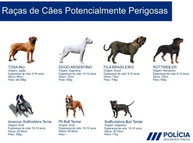 Formação obrigatória – Detentores de cão perigoso ou potencialmente perigoso.
