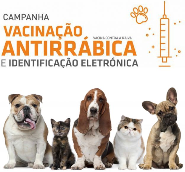 São João do Campo promove campanha de Colocação de chip e vacinação antirrábica de felídeos